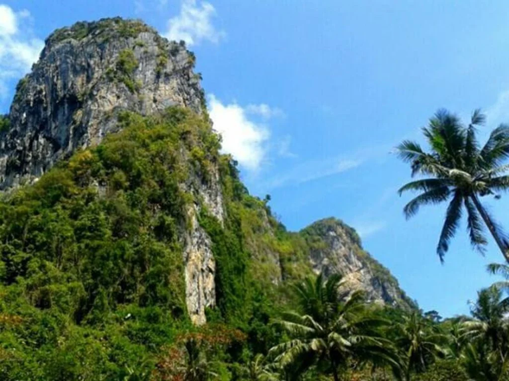 Jungle en bergen op het eiland Koh Mook in Thailand