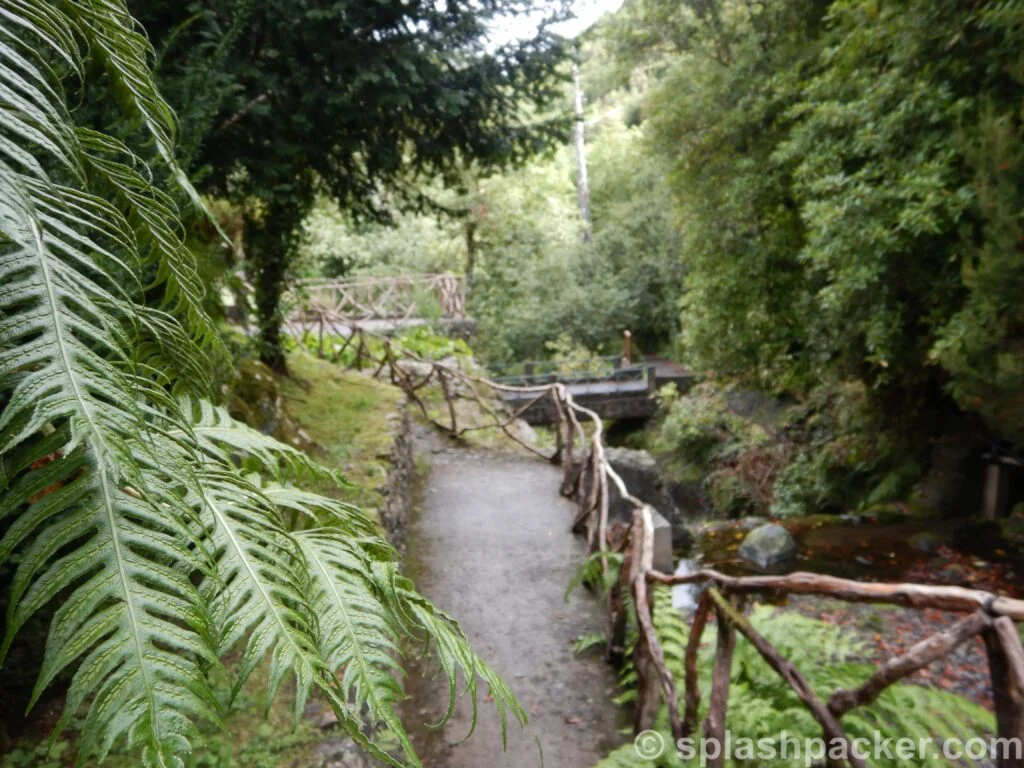 Ribeiro Frio levada walk is one of the many day trips & tours on Madeira Island