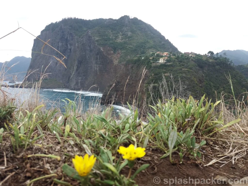 Stop at Faial during the full day trip 'Madeira Island East Tour'
