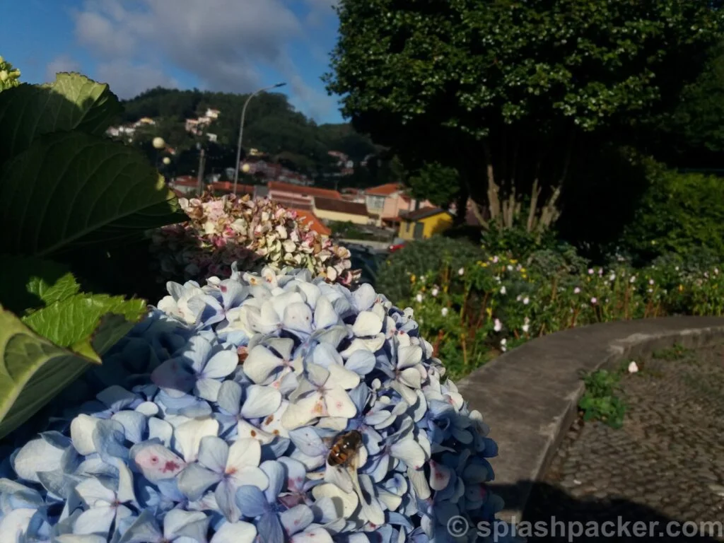Camacha will be visited during the day trips and tours to Madeira East
