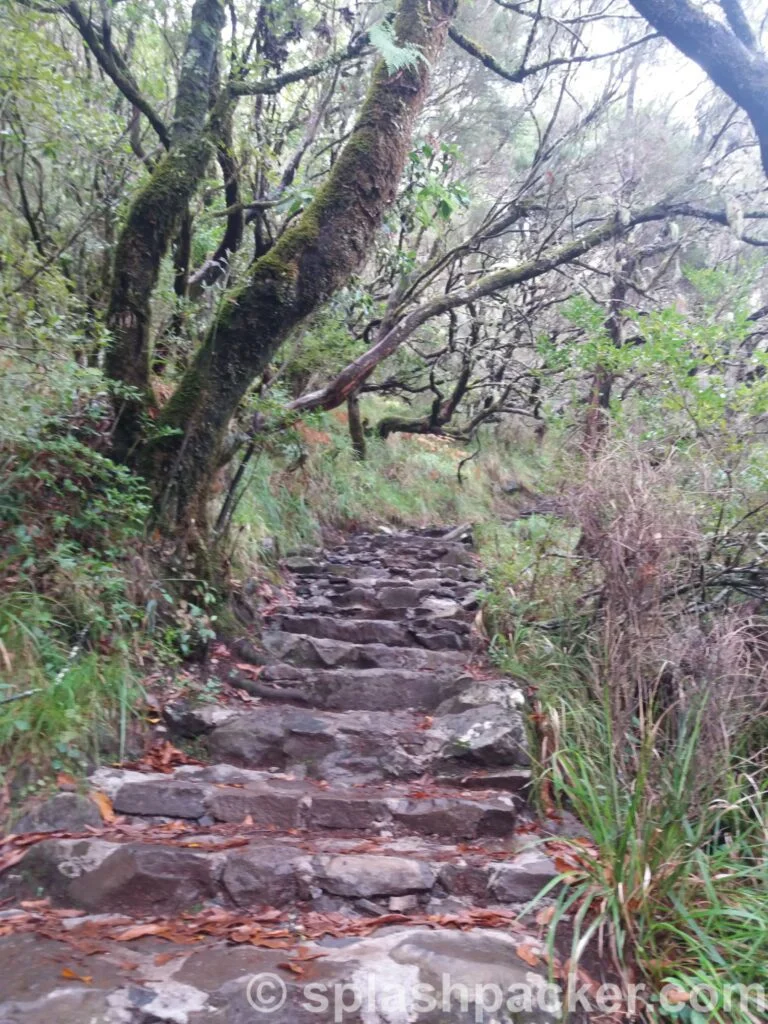 25 fountains Levada walk on Madeira island