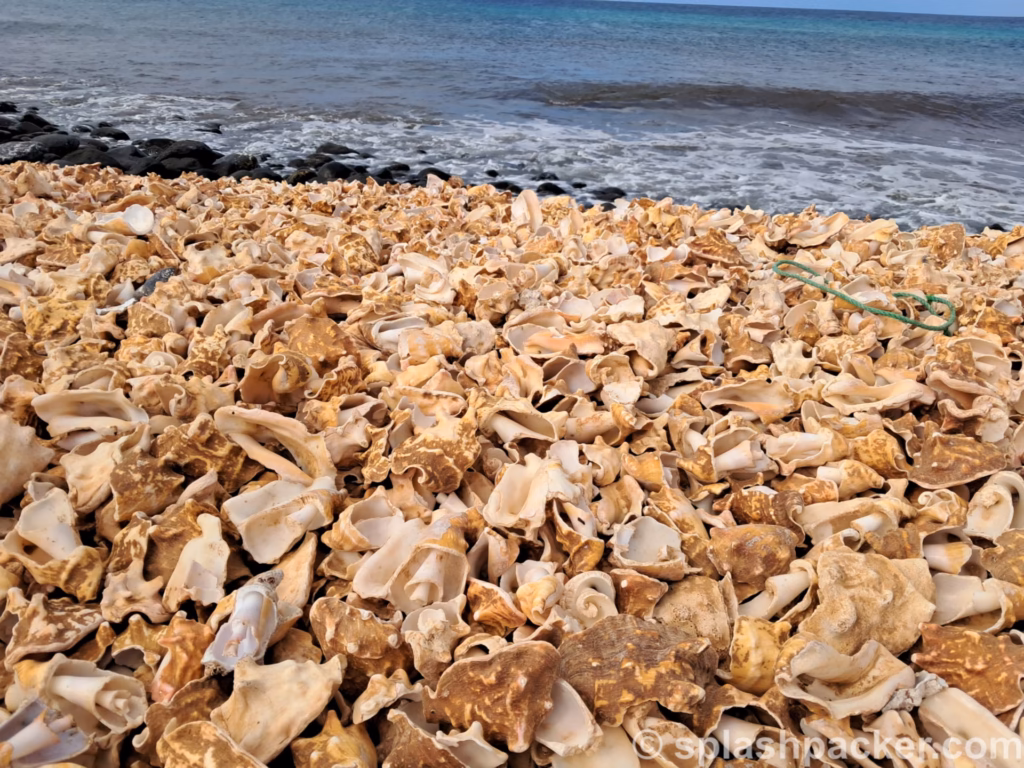 Shell Beach is one of the things to do see during the Sal Island day tour in Cape Verde