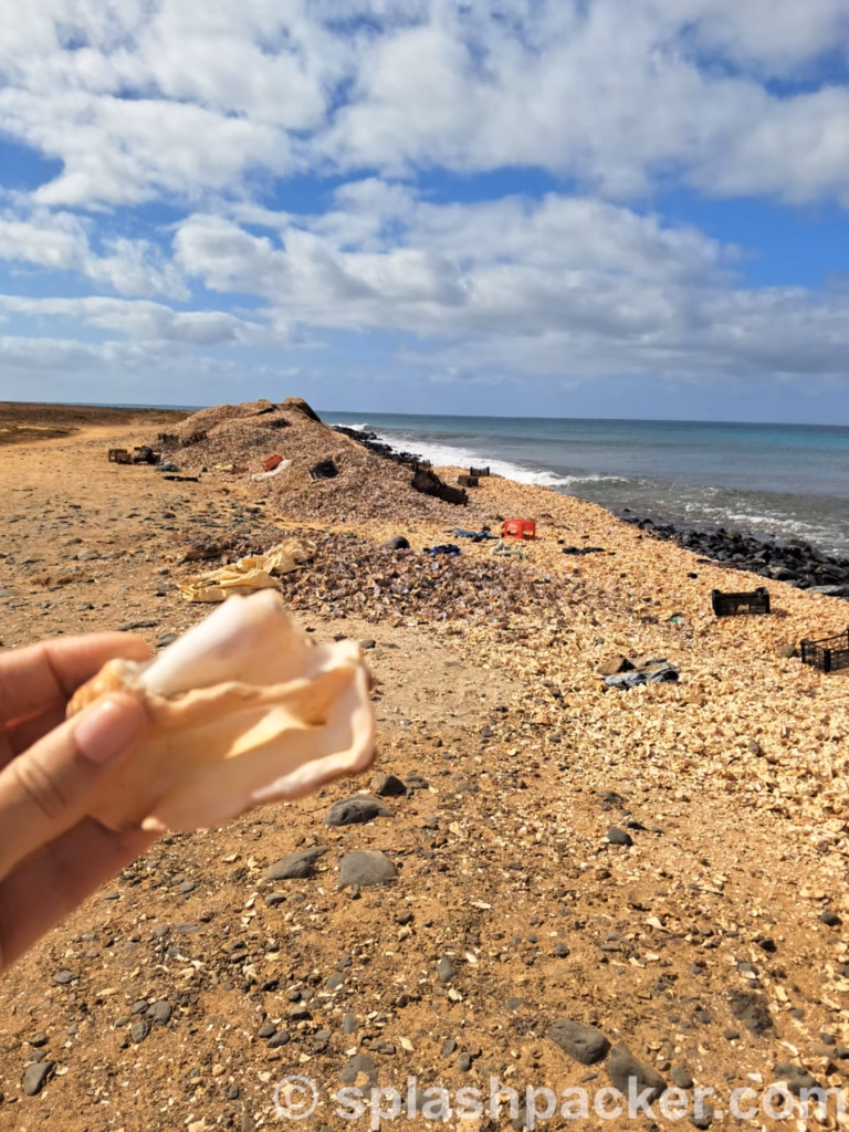We sopped at Shell Cemetery Beach during our Sal Island day tour in Cape Verde