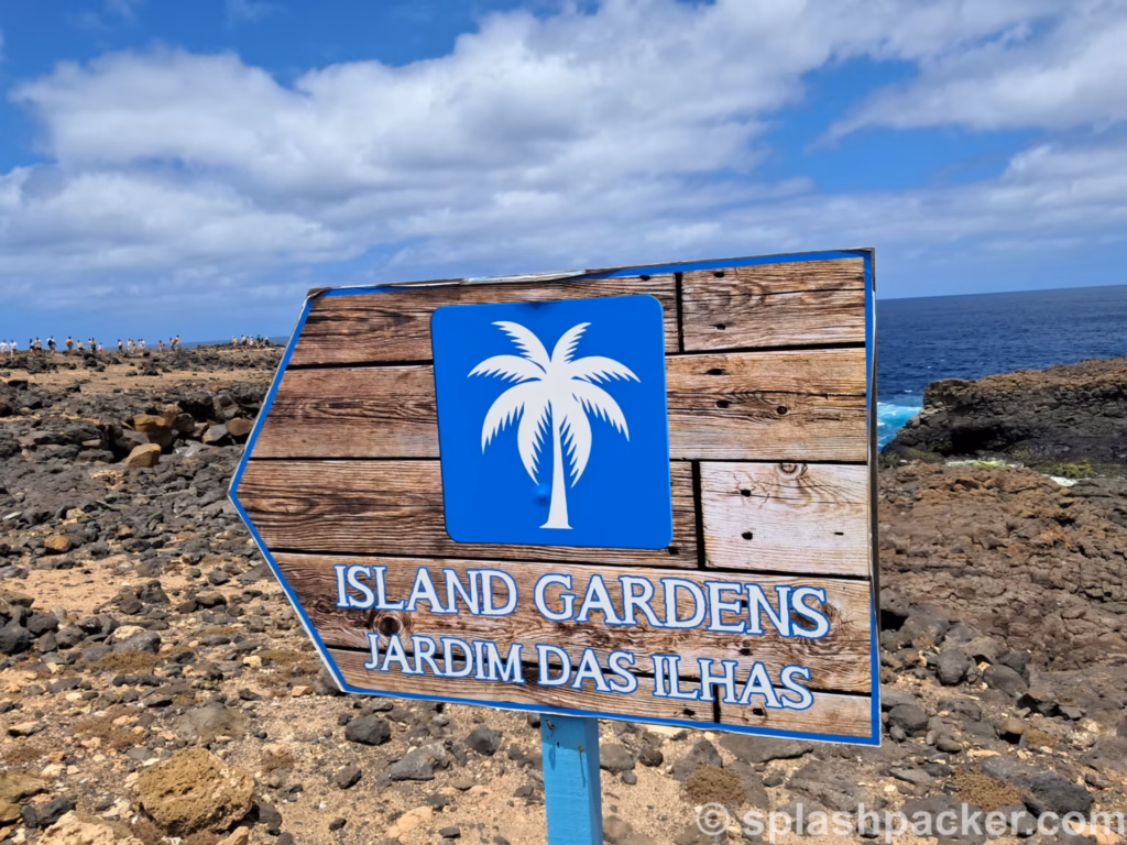 Island Gardens is part of the Buracona Bay attraction of the Sal Island day tour in Cape Verde