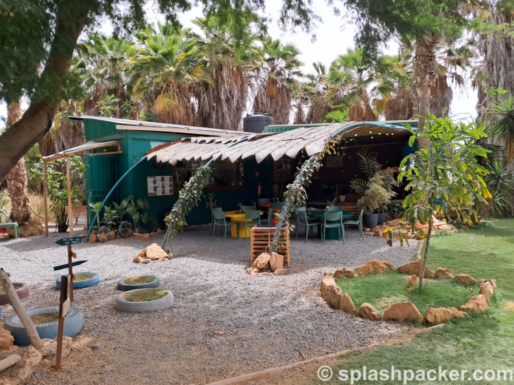 Visiting the Pachamama Eco Park & Botanical Garden is one of the things you can do on Sal Island in Cape Verde