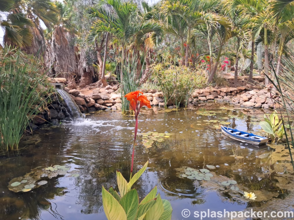 Pachamama Eco Park & Viveiro Botanical Gardens close to Santa Maria in Cape Verde