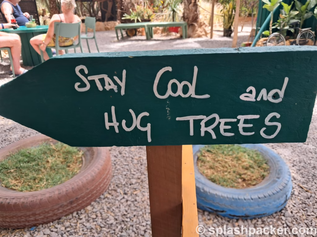 Positive Vibes at Pachamama Eco Park & Viveiro Botanical Garden on Sal Island
